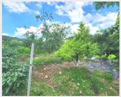  2024Ÿ��48566 ��� �ȼ��� ����� ���ָ� 302      ����(��)���