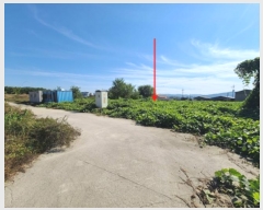  2024Ÿ��53292  �����