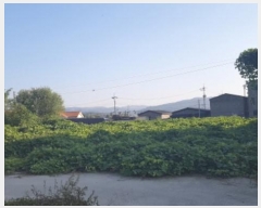  2024Ÿ��53292  �����