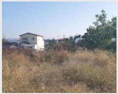  2024Ÿ��53292  �����