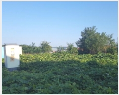  2024Ÿ��53292  �����