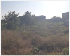  2024Ÿ��53292  �����