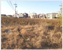  2024Ÿ54028  ý ؼ  7-2      ()