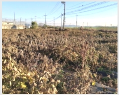  2024Ÿ54028  ý ؼ  7-2      ()