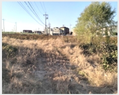  2024Ÿ54028  ý ؼ  7-2      ()