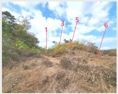  2024Ÿ54363  ȼ ׻  476-10      (Ӿ)