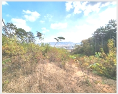  2024Ÿ54363  ȼ ׻  476-10      (Ӿ)