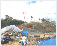  2024Ÿ54363  ȼ ׻  476-10      (Ӿ)