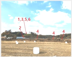  2024Ÿ54363  ȼ ׻  476-10      (Ӿ)