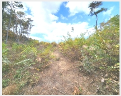  2024Ÿ54363  ȼ ׻  476-10      (Ӿ)