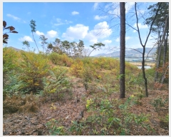  2024Ÿ54363  ȼ ׻  476-10      (Ӿ)