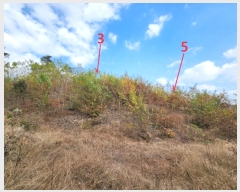  2024Ÿ54363  ȼ ׻  476-10      (Ӿ)