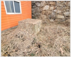  2024Ÿ55731  ý  ݰ 207-34      ,â