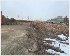  2024Ÿ55731  ý  ݰ 207-34      ,â