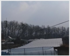  2024Ÿ��56802 ��� �ȼ��� ����� ���︮ ��49-3      ����(�Ӿ�)���