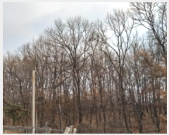  2024Ÿ��56802 ��� �ȼ��� ����� ���︮ ��49-3      ����(�Ӿ�)���