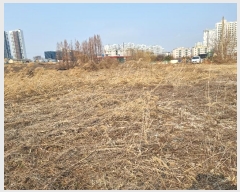  2024Ÿ57119  ȼ  µθ 102      (󰡽ü)