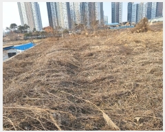  2024Ÿ57119  ȼ  µθ 102      (󰡽ü)