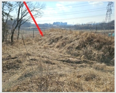  2024Ÿ373  ý  츮 167      (1)