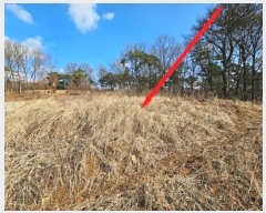  2024Ÿ373  ý  츮 167      (1)