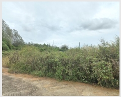  2024Ÿ��3457 ��� ���ý� û���� ���ܸ� 480-1      ������