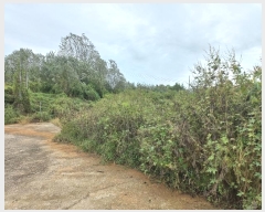  2024Ÿ��3457 ��� ���ý� û���� ���ܸ� 480-1      ������