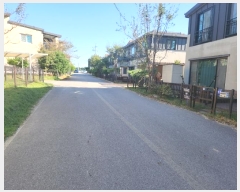  2024Ÿ��3587  ���ð��