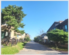  2024Ÿ��3587  ���ð��