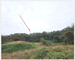  2024Ÿ4139  ý û Ļ縮 69-1      (Ӿ)