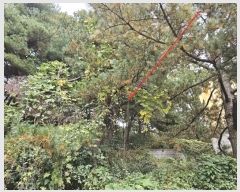  2024Ÿ4139  ý û Ļ縮 69-1      (Ӿ)