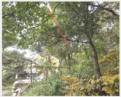  2024Ÿ4139  ý û Ļ縮 69-1      (Ӿ)