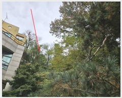  2024Ÿ4139  ý û Ļ縮 69-1      (Ӿ)