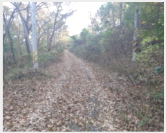  2024Ÿ4139  ý û Ļ縮 69-1      (Ӿ)