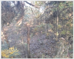  2024Ÿ4139  ý û Ļ縮 69-1      (Ӿ)