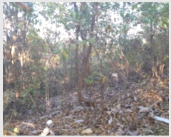  2024Ÿ4139  ý û Ļ縮 69-1      (Ӿ)