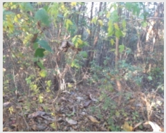  2024Ÿ4139  ý û Ļ縮 69-1      (Ӿ)