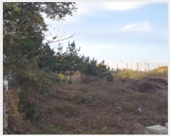  2024Ÿ4382  ý  53       (Ӿ)