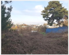  2024Ÿ4382  ý  53       (Ӿ)