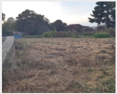  2024Ÿ4382  ý  53       (Ӿ)