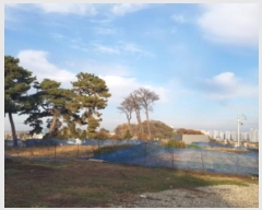  2024Ÿ4382  ý  53       (Ӿ)