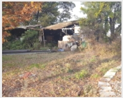  2024Ÿ4382  ý  53       (Ӿ)