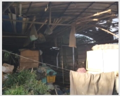  2024Ÿ4382  ý  53       (Ӿ)