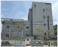  2024Ÿ��5316 ��� ���ý� ������ �����Ⳳ��537���� 39      ������