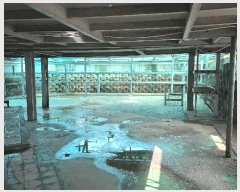  2024Ÿ��5316 ��� ���ý� ������ �����Ⳳ��537���� 39      ������