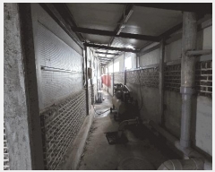  2024Ÿ��5316 ��� ���ý� ������ �����Ⳳ��537���� 39      ������