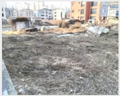  2024Ÿ��5439 ��� ���ý� ������ 1913-7       ����(����)���