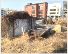  2024Ÿ��5439 ��� ���ý� ������ 1913-7       ����(����)���