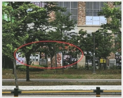  2024Ÿ��5491  �ٸ��󰡰��