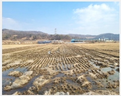  2024Ÿ40067  ȼ   13      (1)