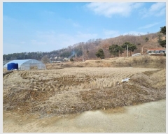  2024Ÿ40067  ȼ   13      (1)